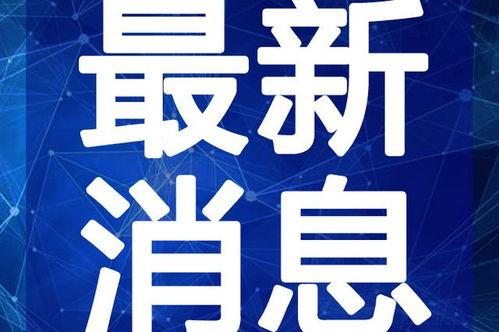 咏春小李爆料视频大全最新,揭秘咏春拳界风云录